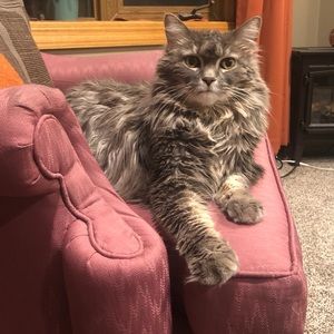 Meet your Posher, Deanna